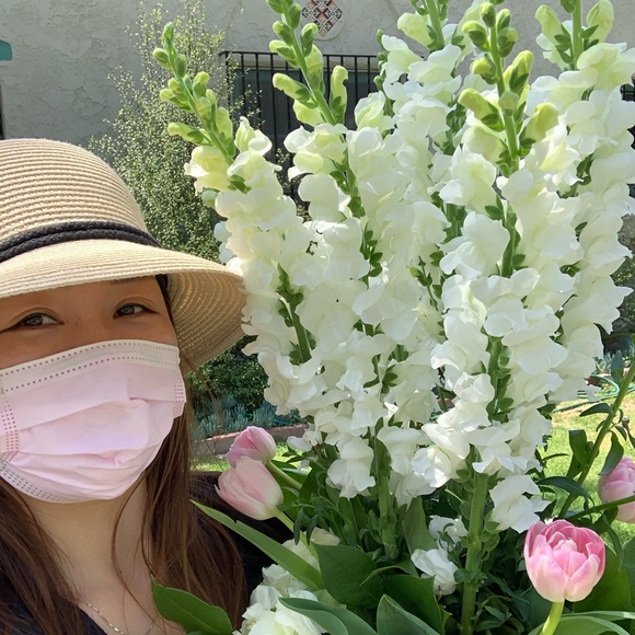 Meet your Posher, Hongxing - Picture 1 of 1